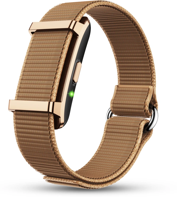 Fitness Bands