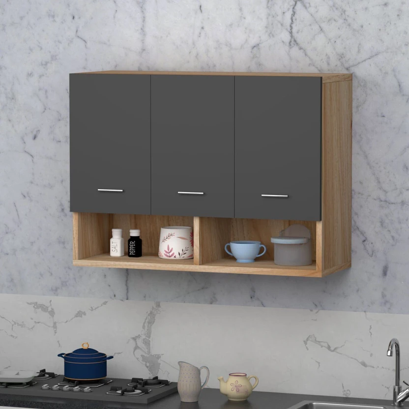 Divysa 2 Door Wall Mounted Kitchen Cabinet for Home & Kitchen, Ba...more
