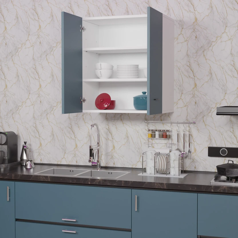 Divysa 2 Door Wall Mounted Kitchen Cabinet for Home & Kitchen, Ba...more
