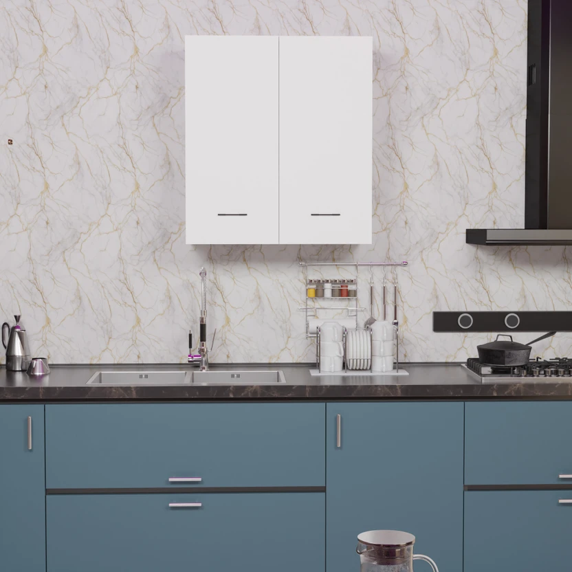 Divysa 2 Door Wall Mounted Kitchen Cabinet for Home & Kitchen, Ba...more