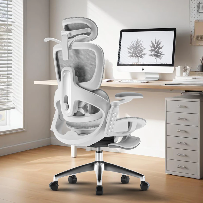 Drogo Ergonomic Office Chair for Work from Home Computer Chair 6D...more